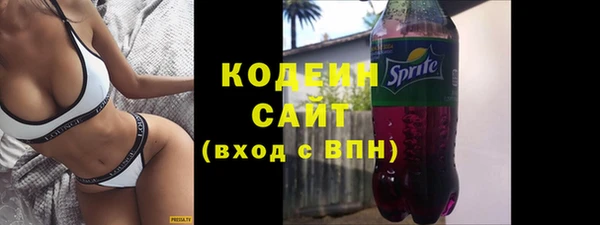 гашик Козловка