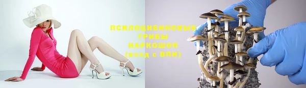 а пвп мука Кинешма