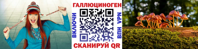 закладка Красновишерск Псилоцибиновые грибы Psilocybine cubensis